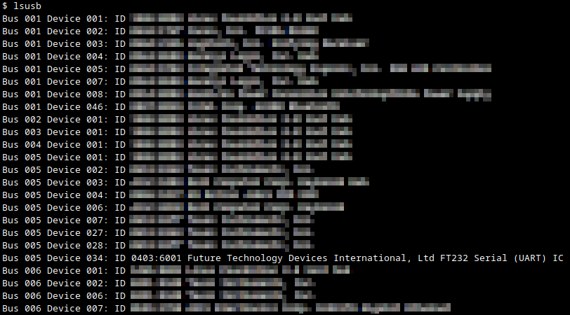 Output of `lsusb`